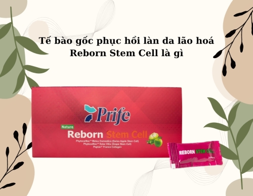 Tế bào gốc phục hồi làn da lão hoá - Reborn Stem Cell - Nhập khẩu từ Malaysia - Prife