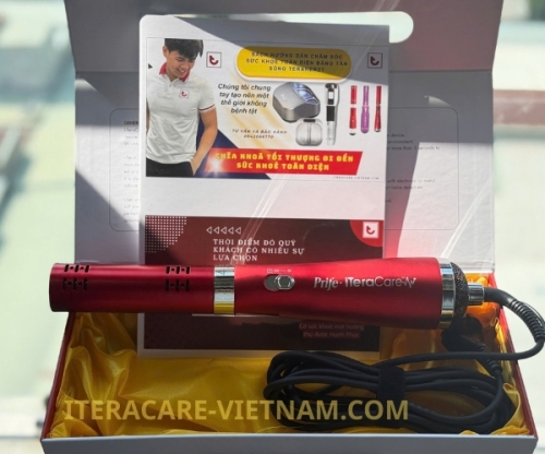 Máy Trị Liệu Phục Hồi Chức Năng - ITERA CARE CLASSIC - Máy cơ bản loại cầm vừa tay