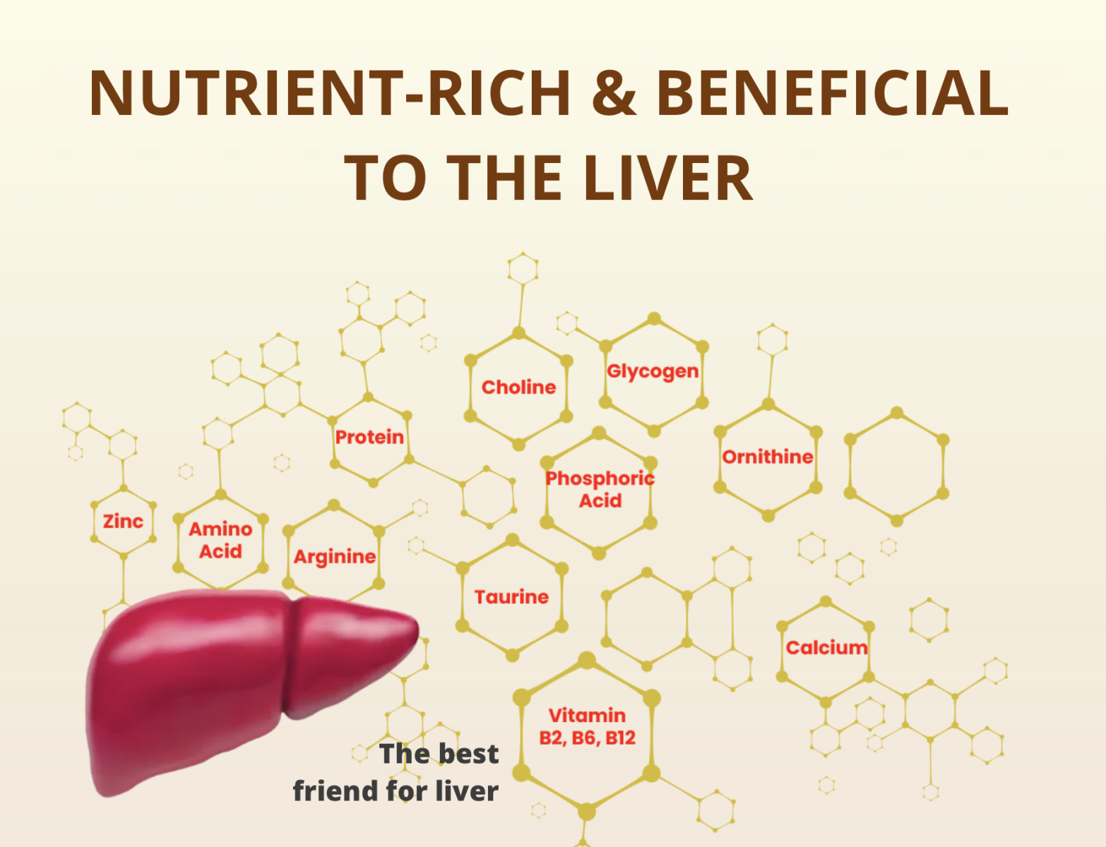 Viên nén Golden Clam - Cải thiện các chức năng cho gan - Prif