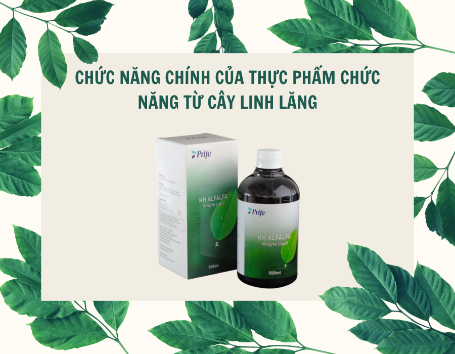 Sản phẩm chức năng từ cây linh lăng - Bổ sung Vitamin và khoáng chất cho cơ thể - Xuất xứ từ Malaysia - Prife 